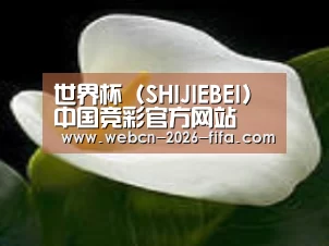 产品名称七