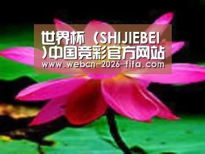 产品名称五