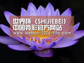 产品名称六