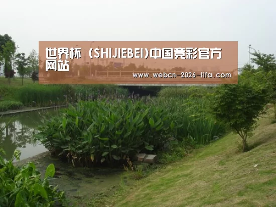 案例展示四