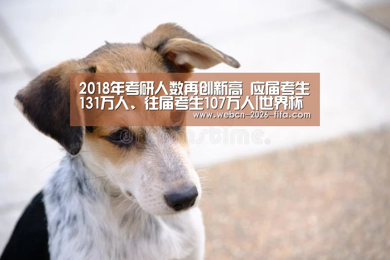 2018年考研人数再创新高 应届考生131万人、往届考生107万人|世界杯投注(图4) 世界杯投注