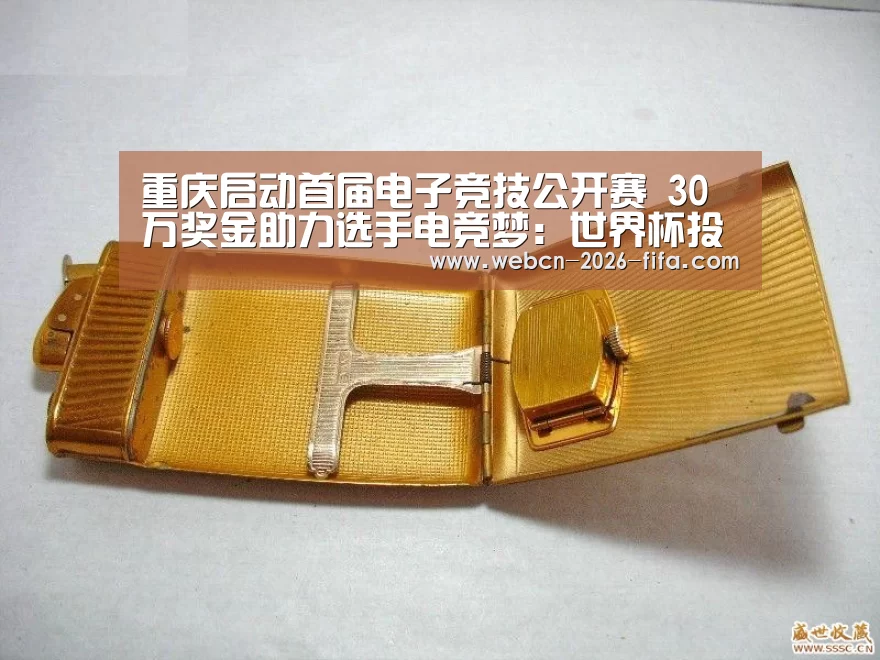 重庆启动首届电子竞技公开赛 30万奖金助力选手电竞梦:世界杯投注(图2) 世界杯投注