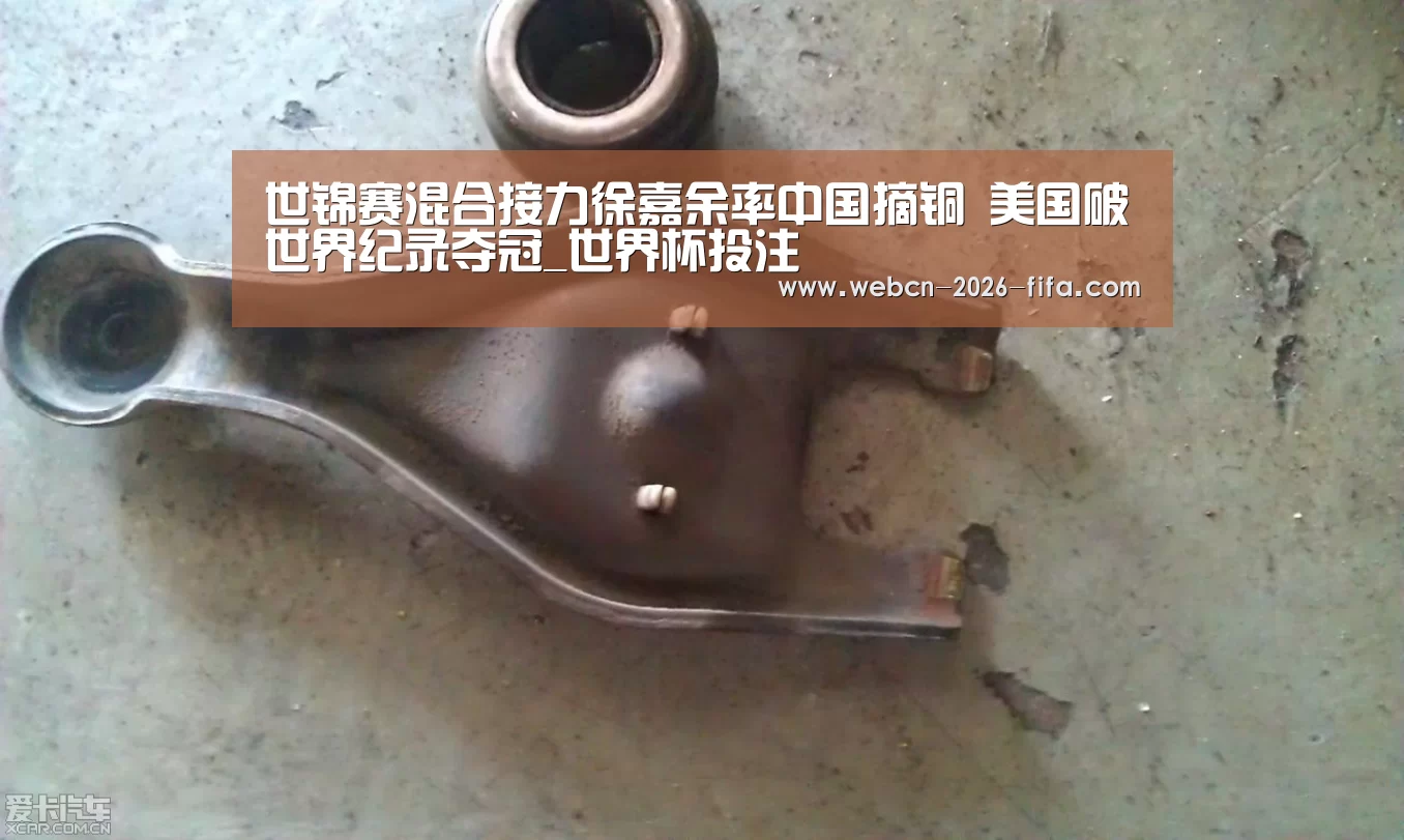 世锦赛混合接力徐嘉余率中国摘铜 美国破世界纪录夺冠_世界杯投注(图1) 世界杯投注
