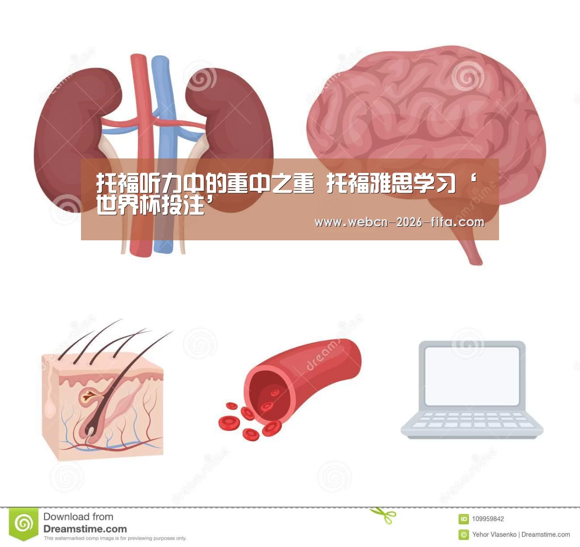 世界杯投注