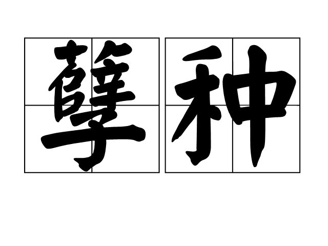 世界杯投注