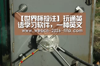 世界杯投注